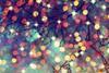 shutterstock_230839120-web-crop2